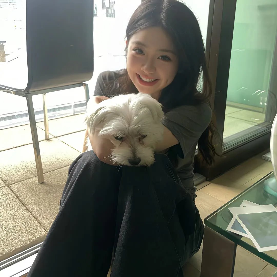 我的青春在黄昏落下